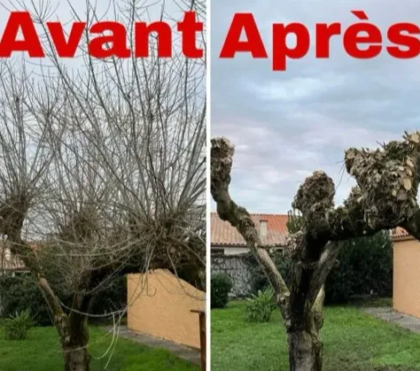 entretien de haie vannes