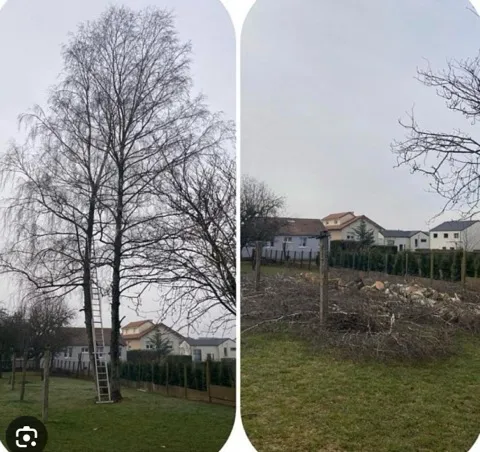 entretien de haie vannes