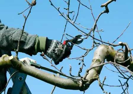 entretien de jardin Le-tour-du-parc-3