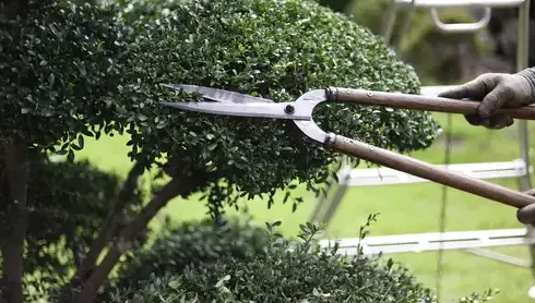 entretien de jardin Plescop-4