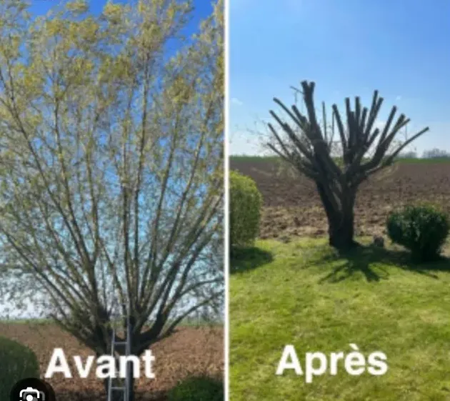 entretien de jardin plescop