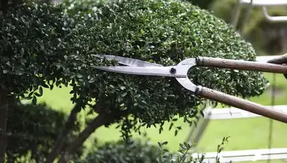entretien de jardin Vannes-5