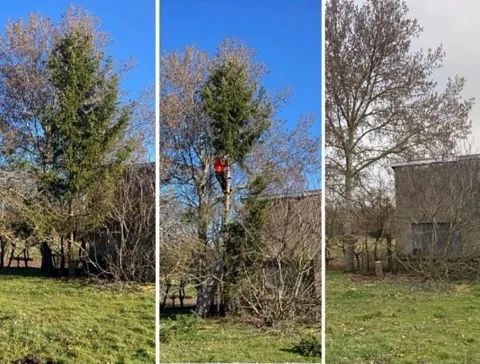 espaces verts entretien sarzeau